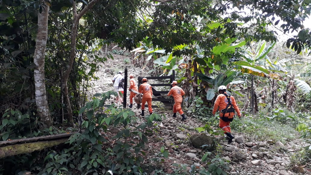 Voluntario en Putumayo liberan a oso perezoso